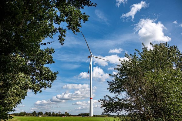 Windkraft (Art. 1137), Verhältnis 3:2, Fotografin Traute Meyer